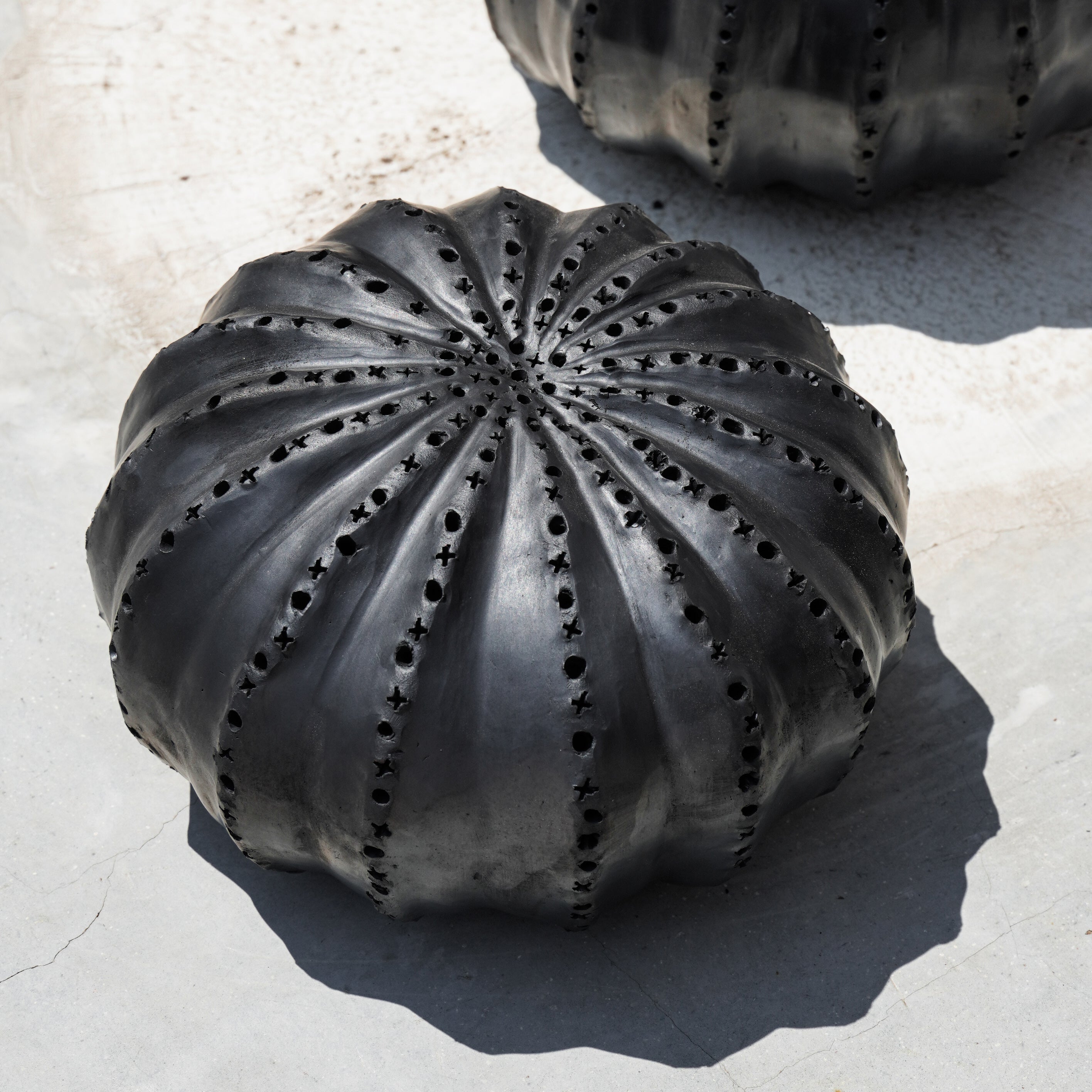 Biznaga Hurricane Black Clay