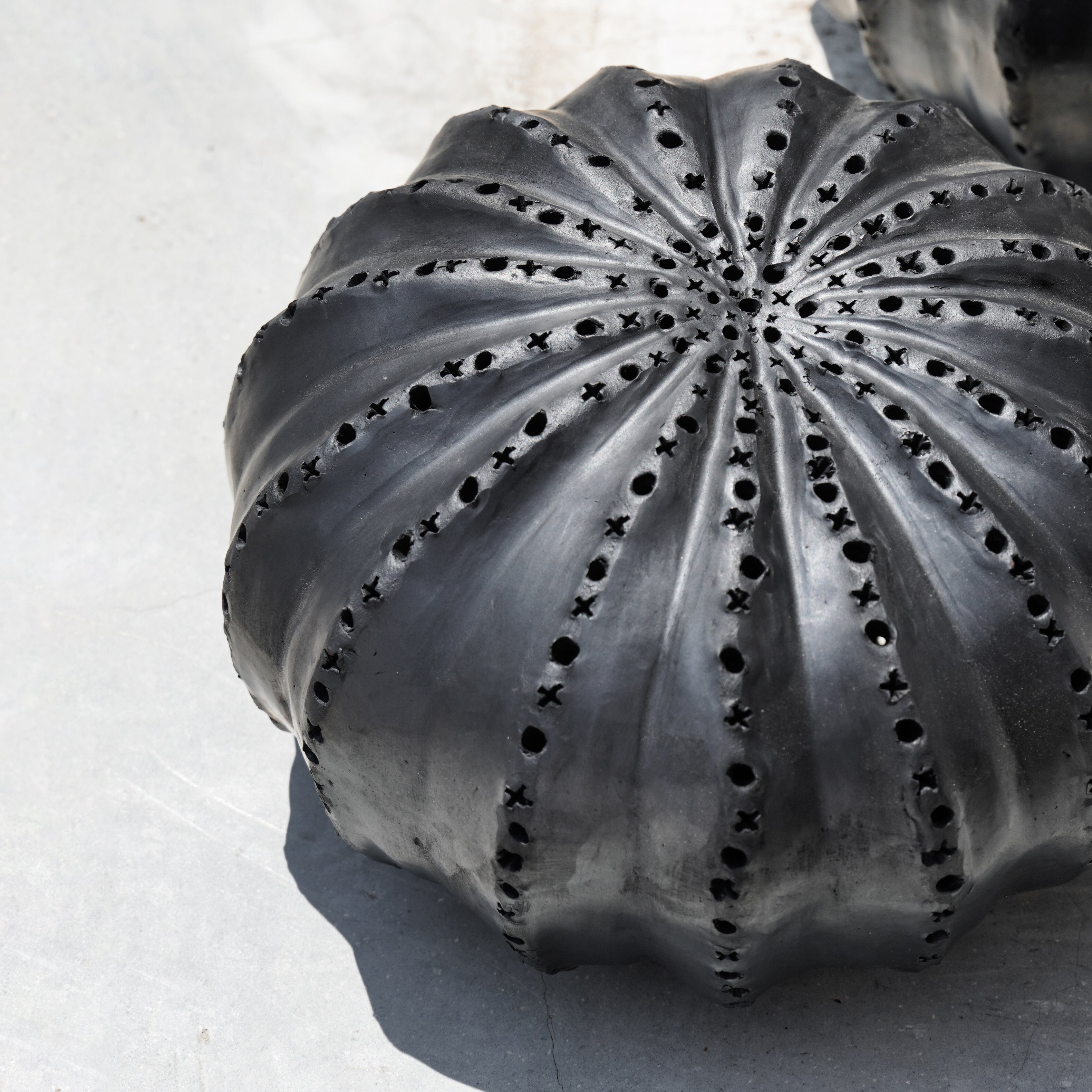 Biznaga Hurricane Black Clay