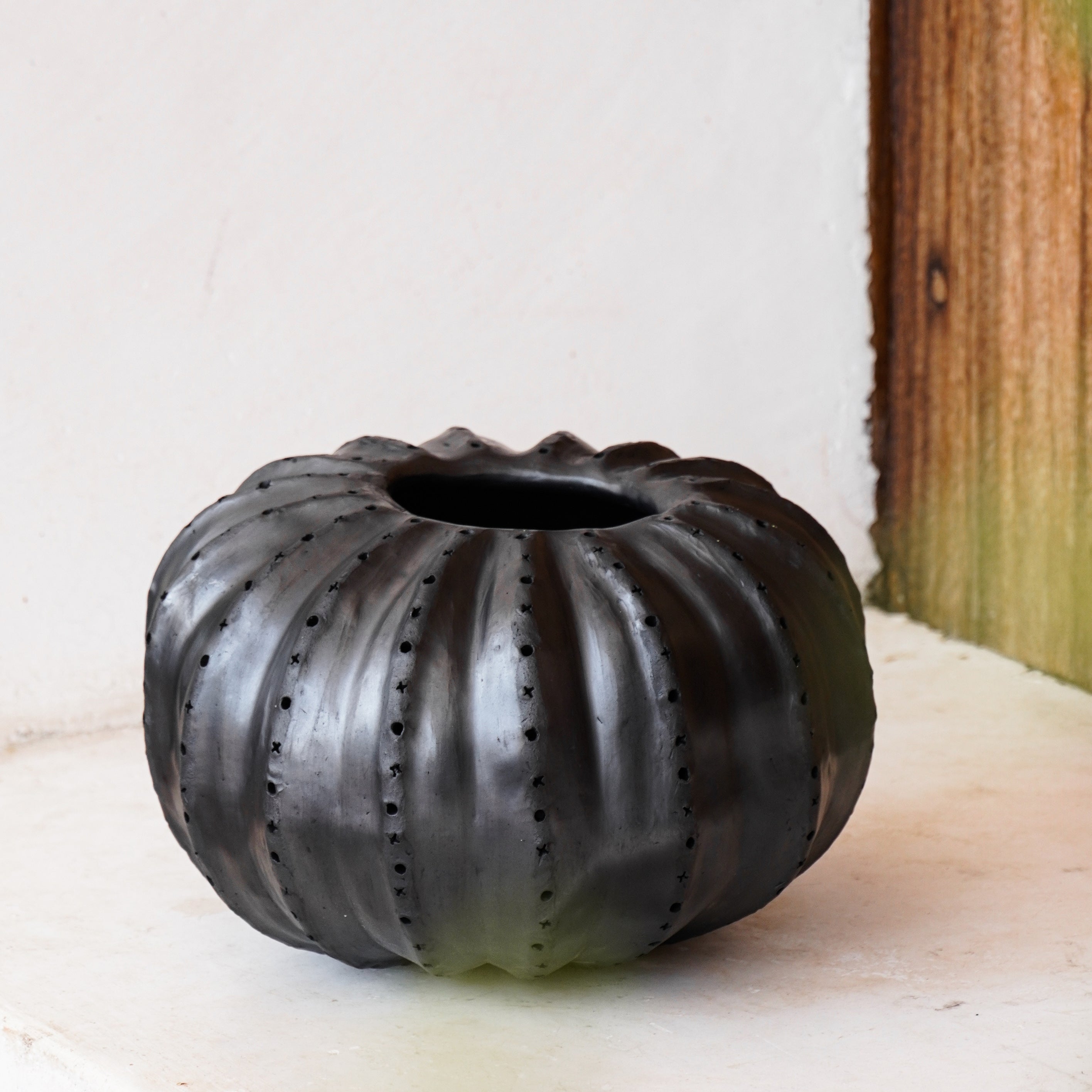 Biznaga Hurricane Black Clay