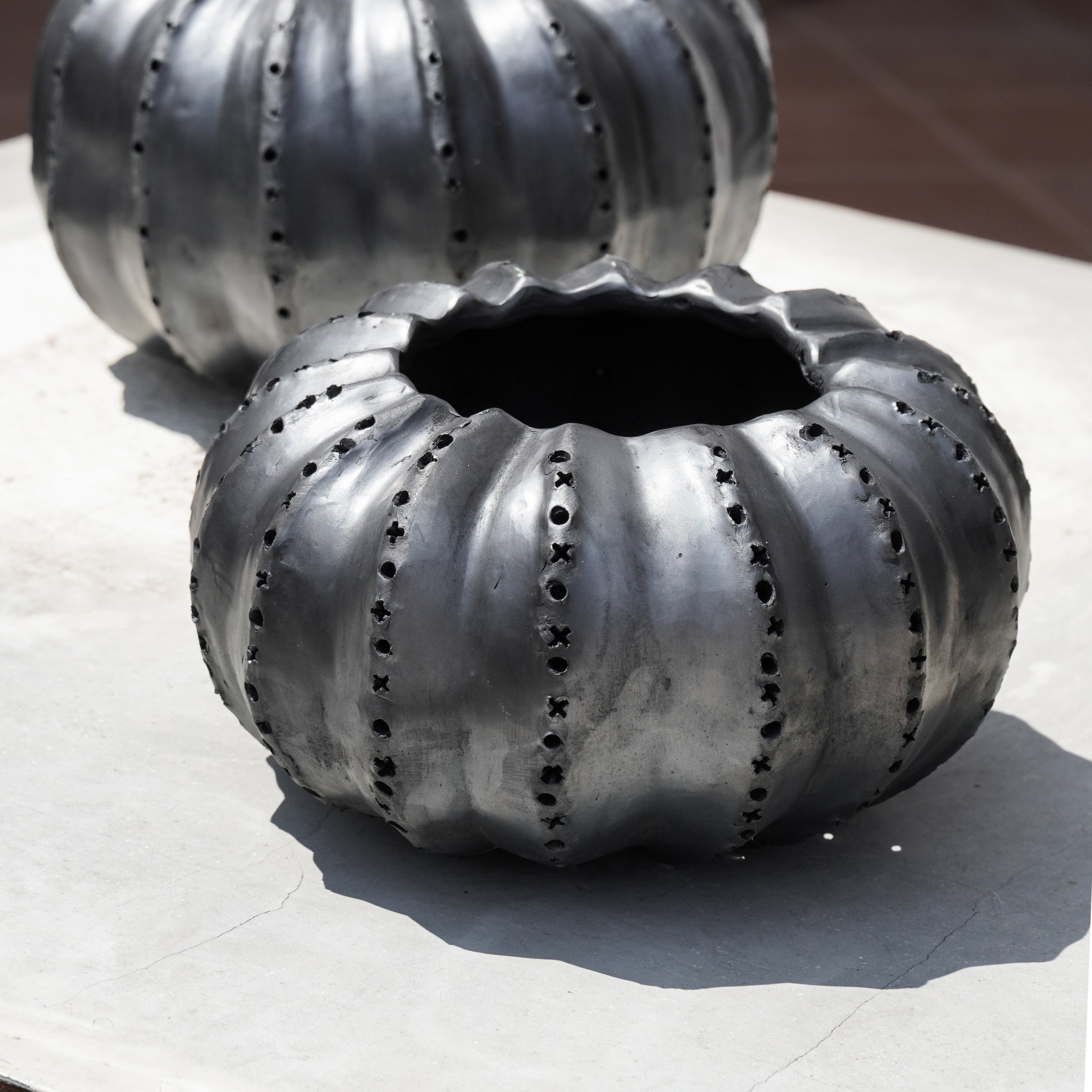 Biznaga Hurricane Black Clay
