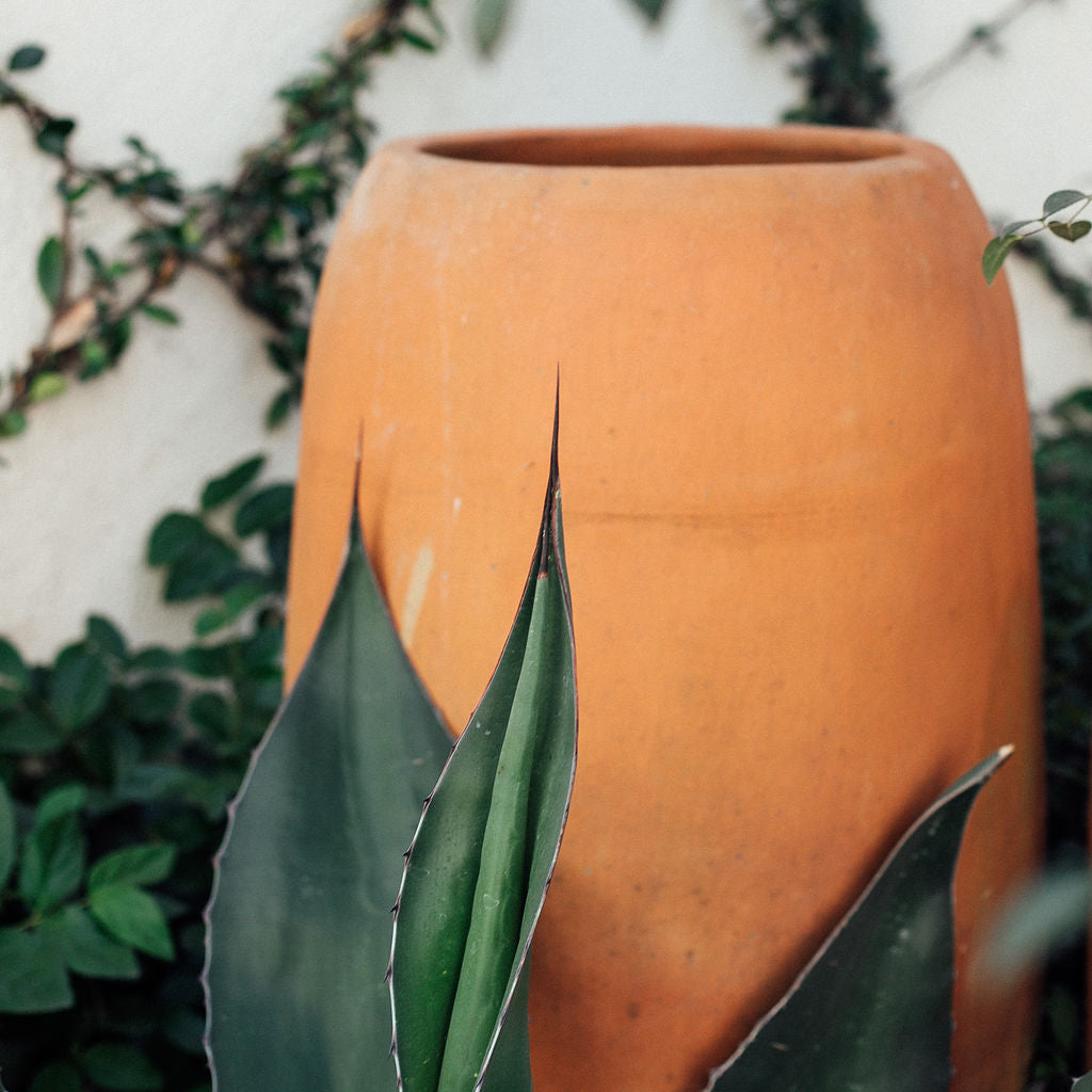 Cocucho Garden Pot