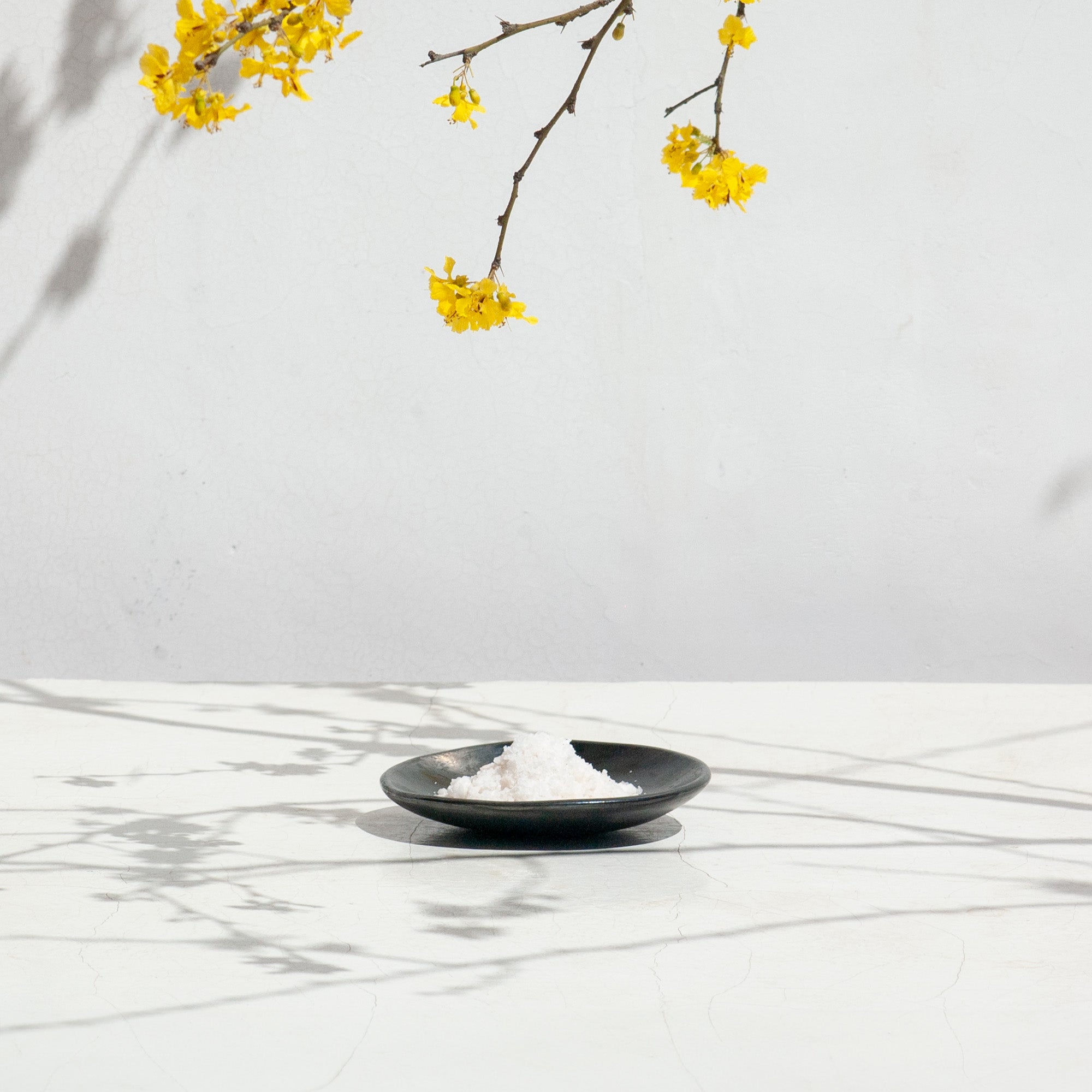 Elena Black Salt Plate