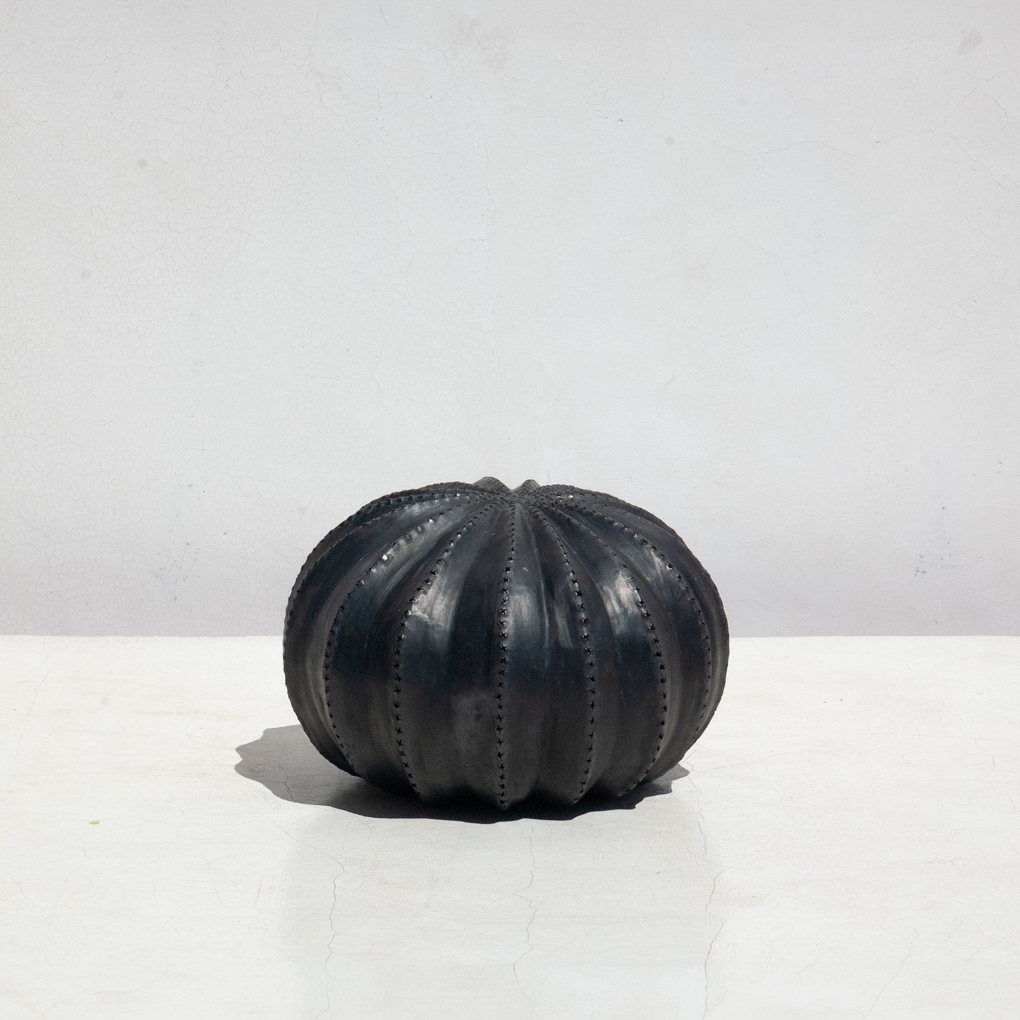 Biznaga Hurricane Black Clay
