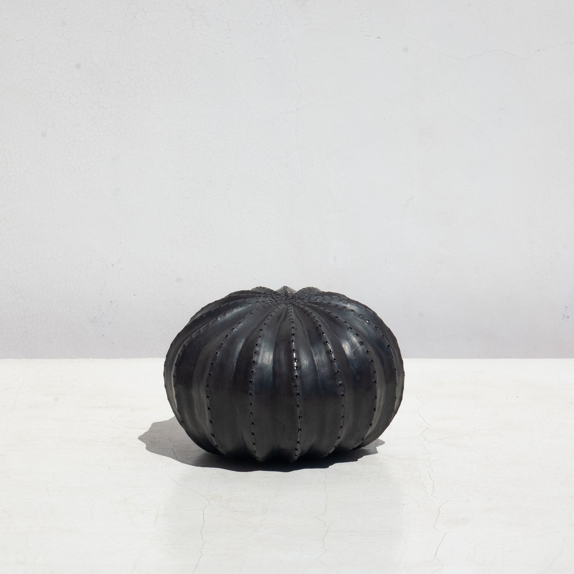 Biznaga Hurricane Black Clay