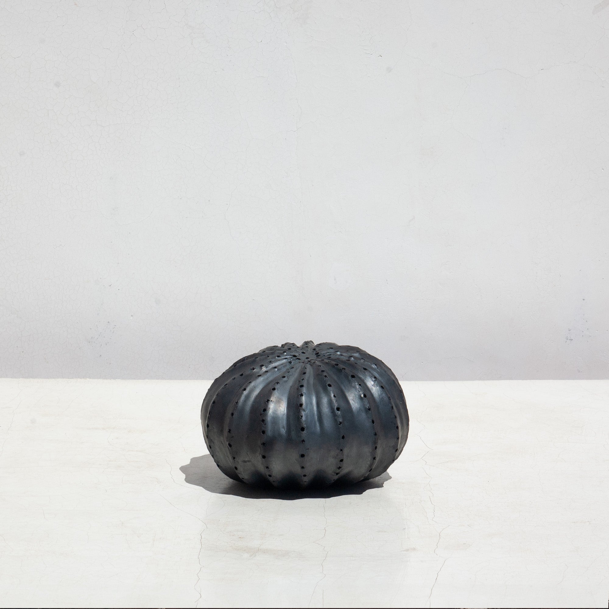 Biznaga Hurricane Black Clay