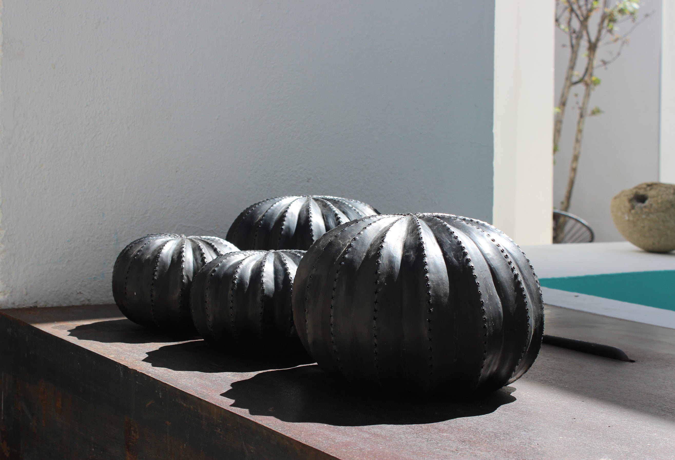 Biznaga Hurricane Black Clay