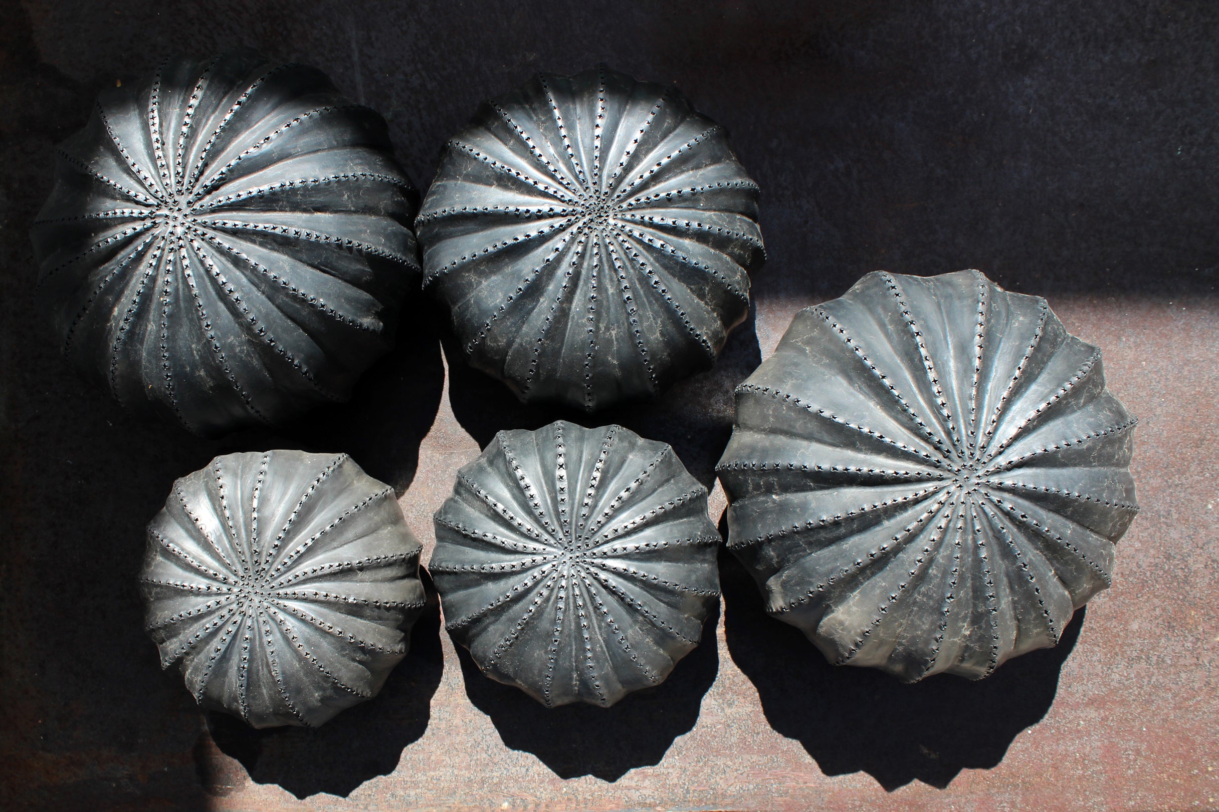 Biznaga Hurricane Black Clay