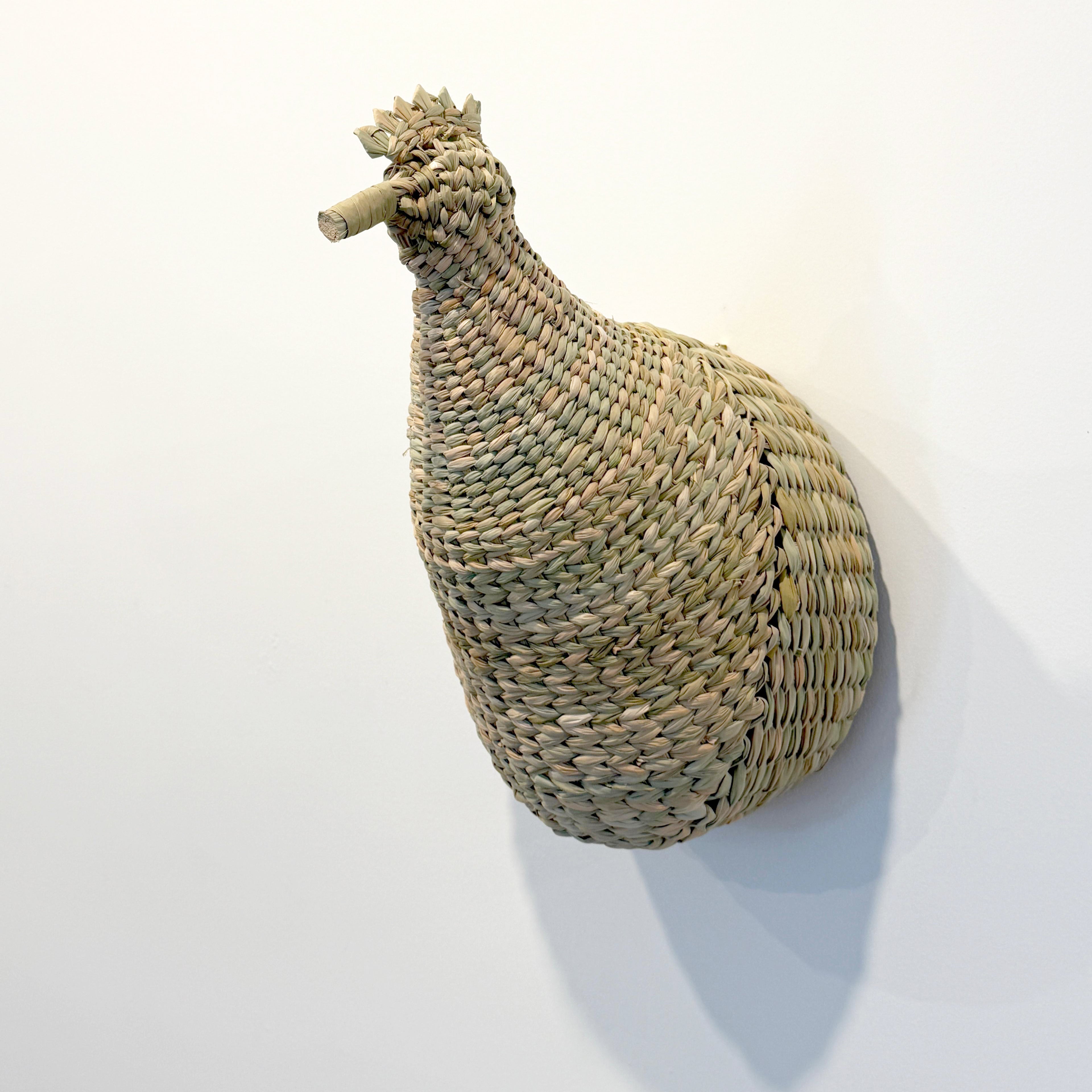 Chuspata Trophy Rooster