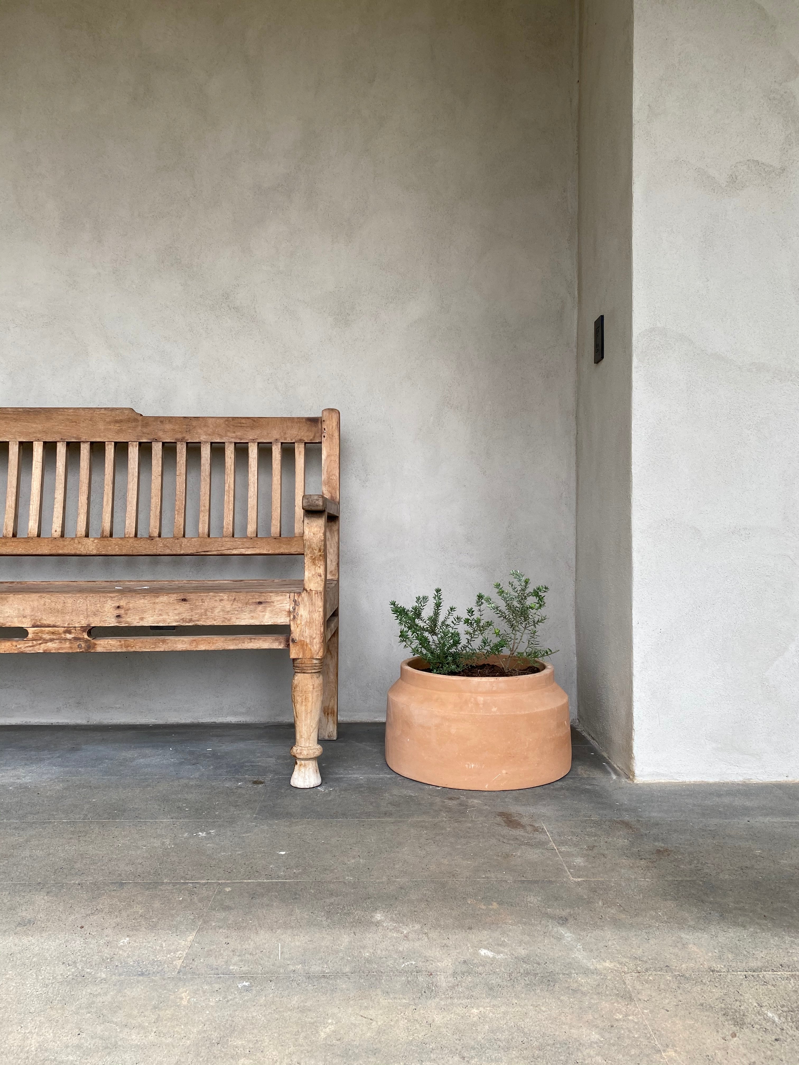 Lechera Garden Pot