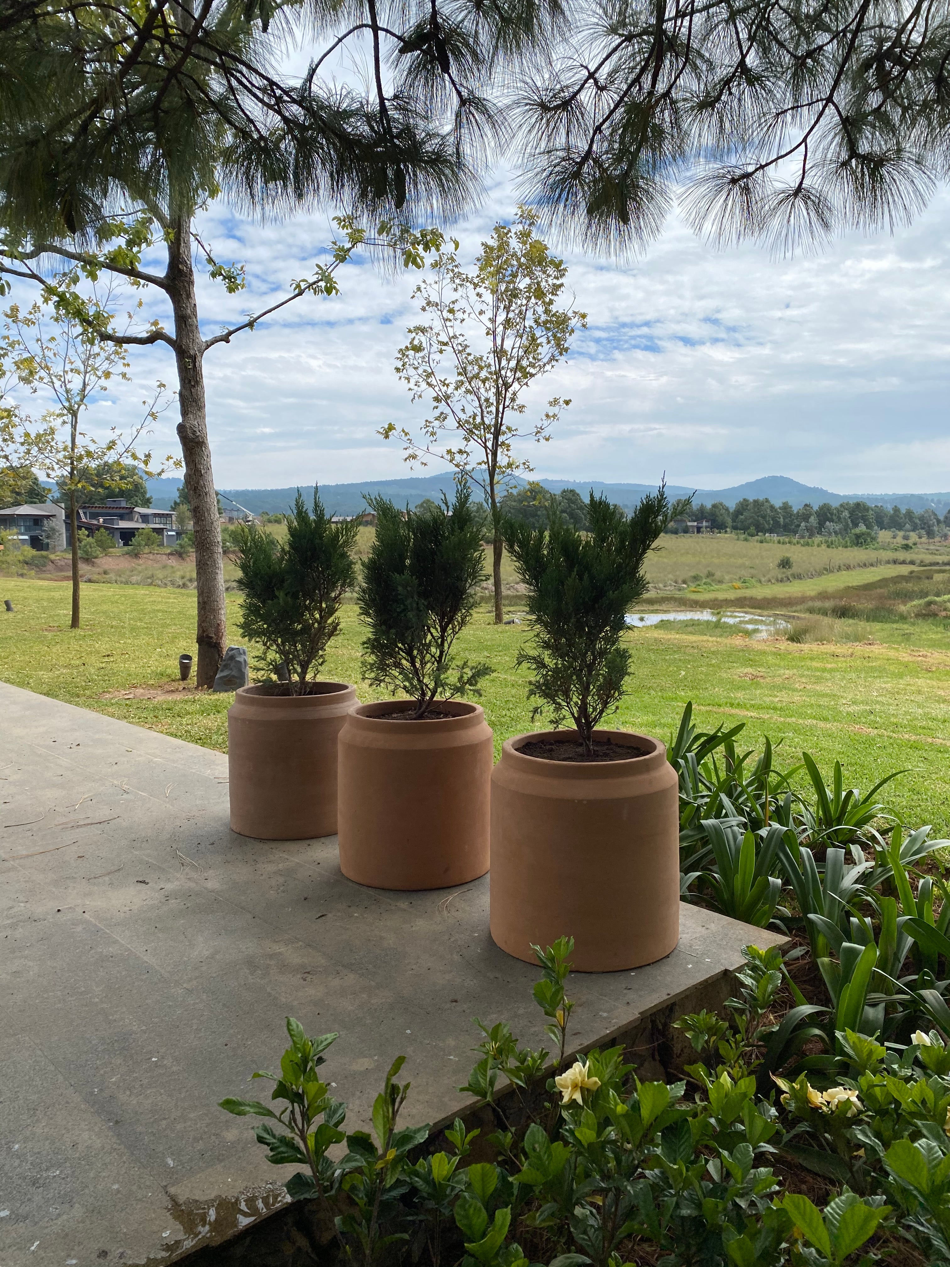 Lechera Garden Pot