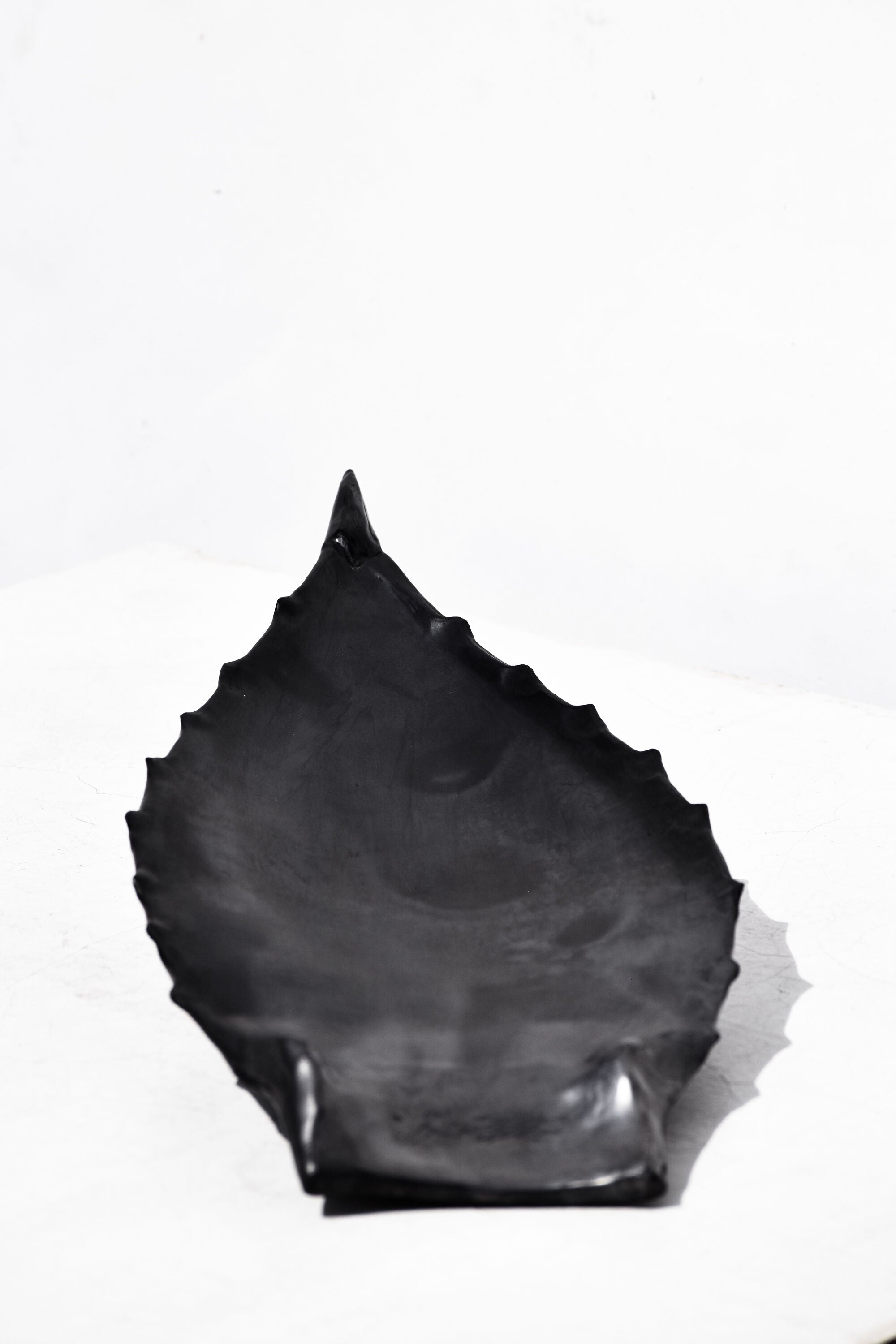 Agave Leaf Black Clay LG