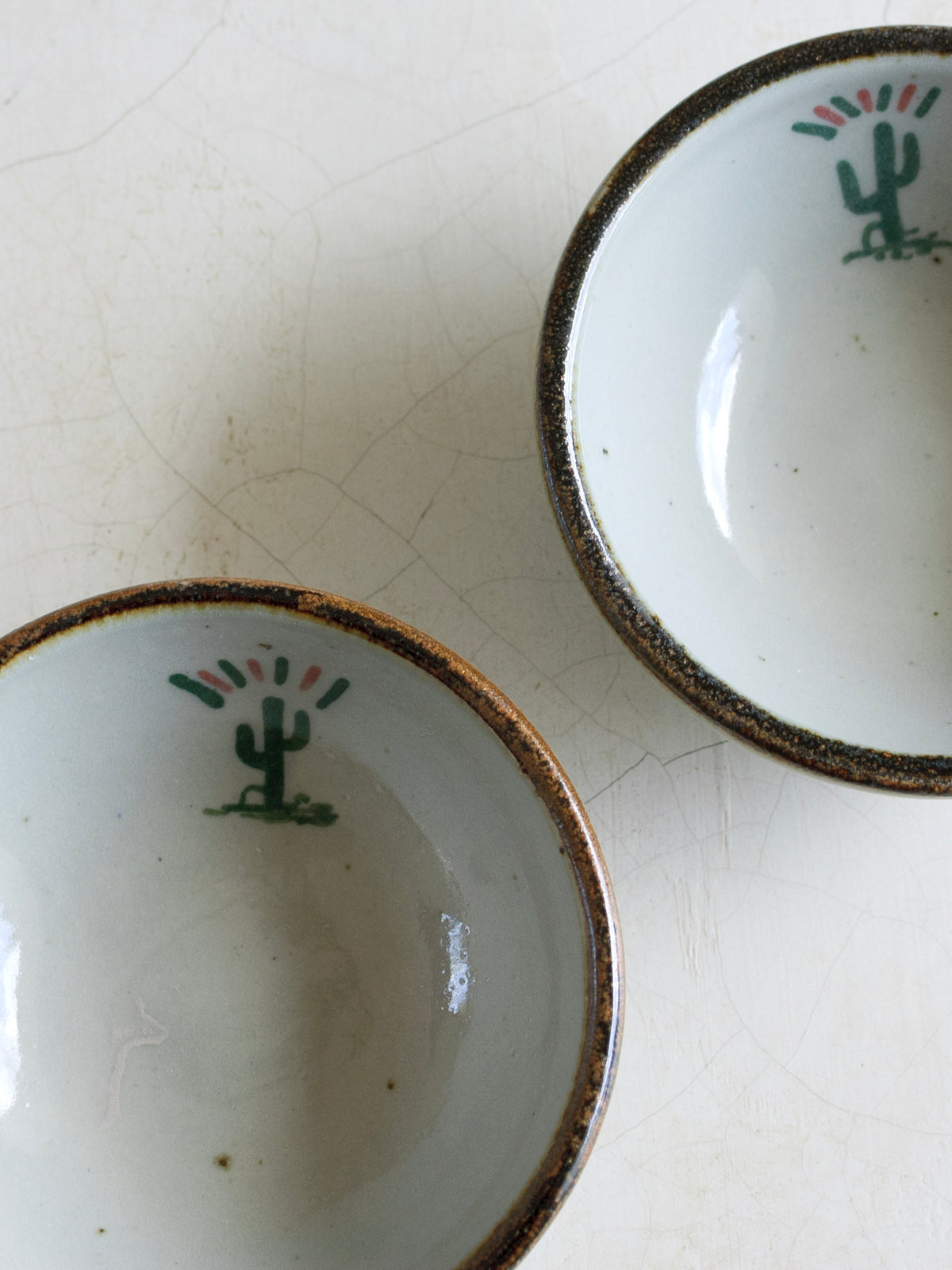 Embajada Craft El Palomar cactus dessert bowl, ceramic tableware with a cactus design, perfect for serving desserts.