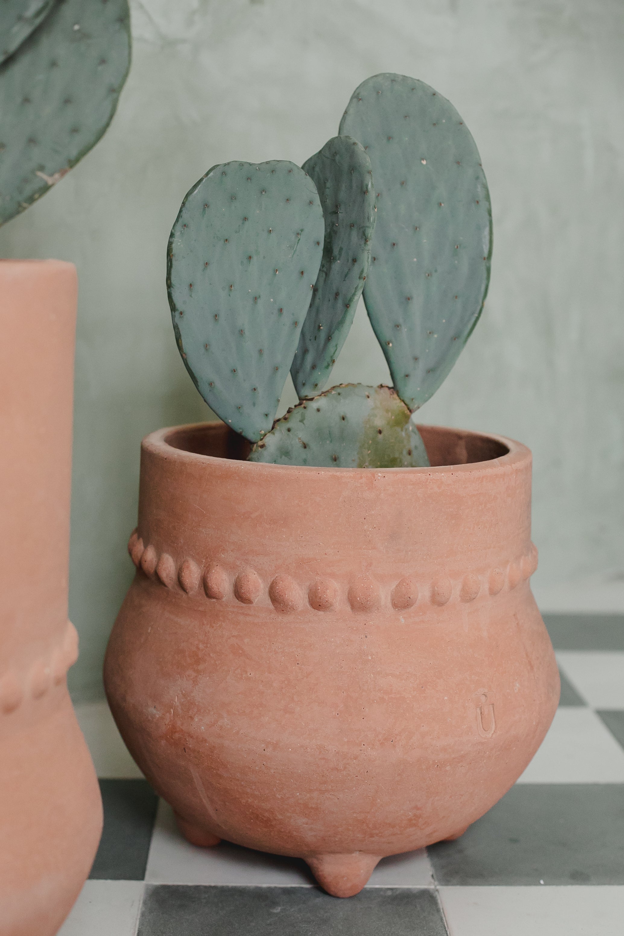Tinaja Patas Textura Garden Pot