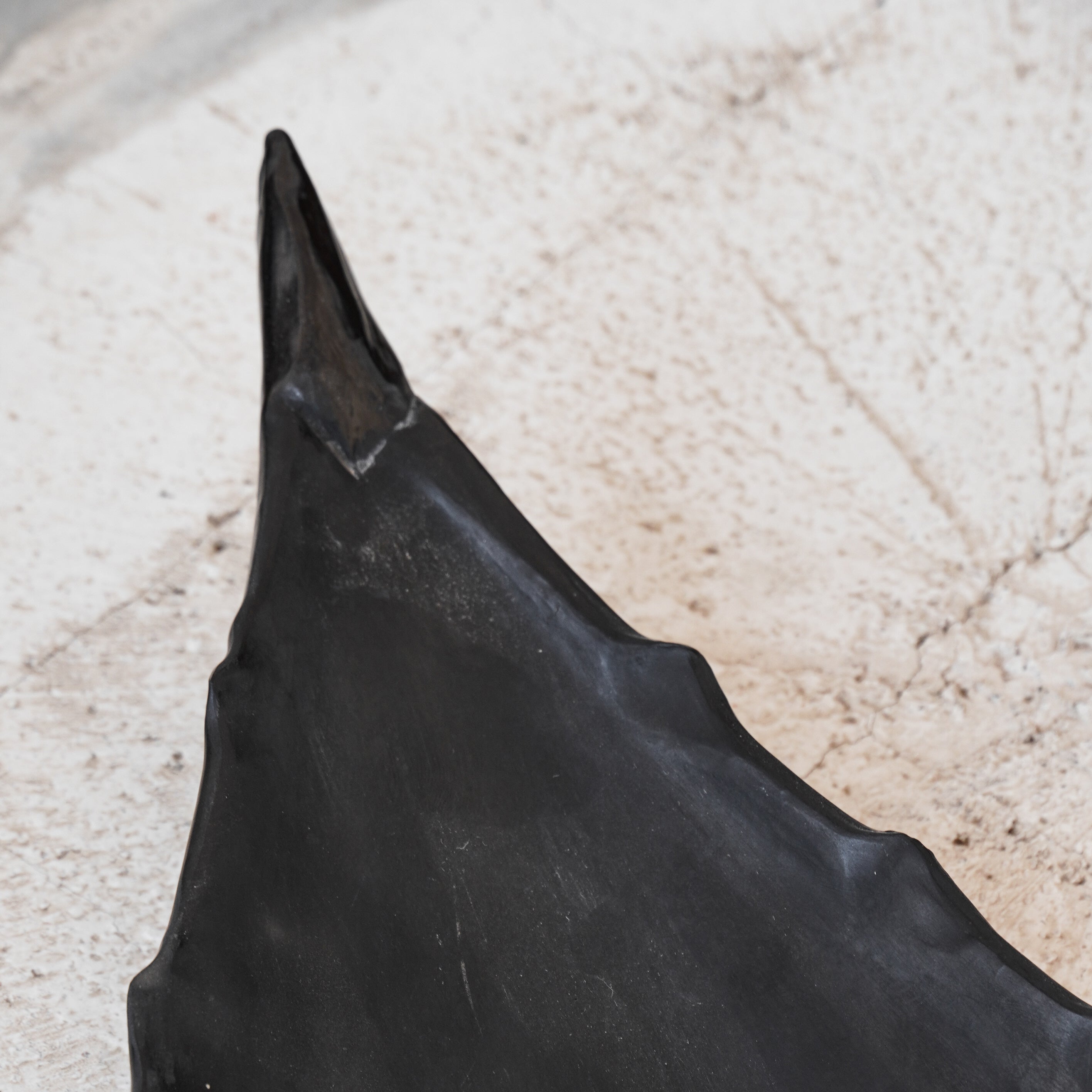 Agave Leaf Black Clay LG