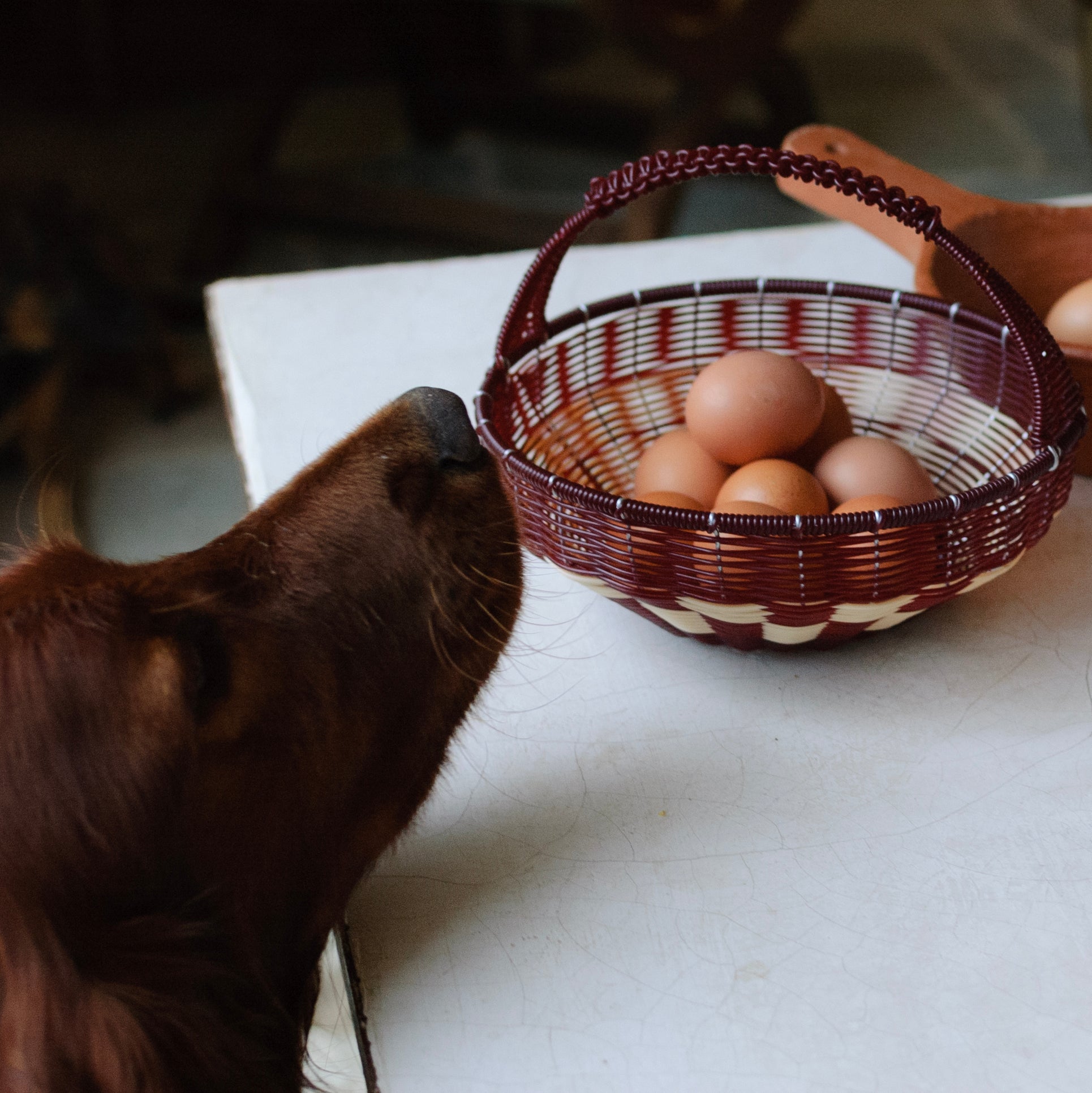 Ruby Tlacolula Basket
