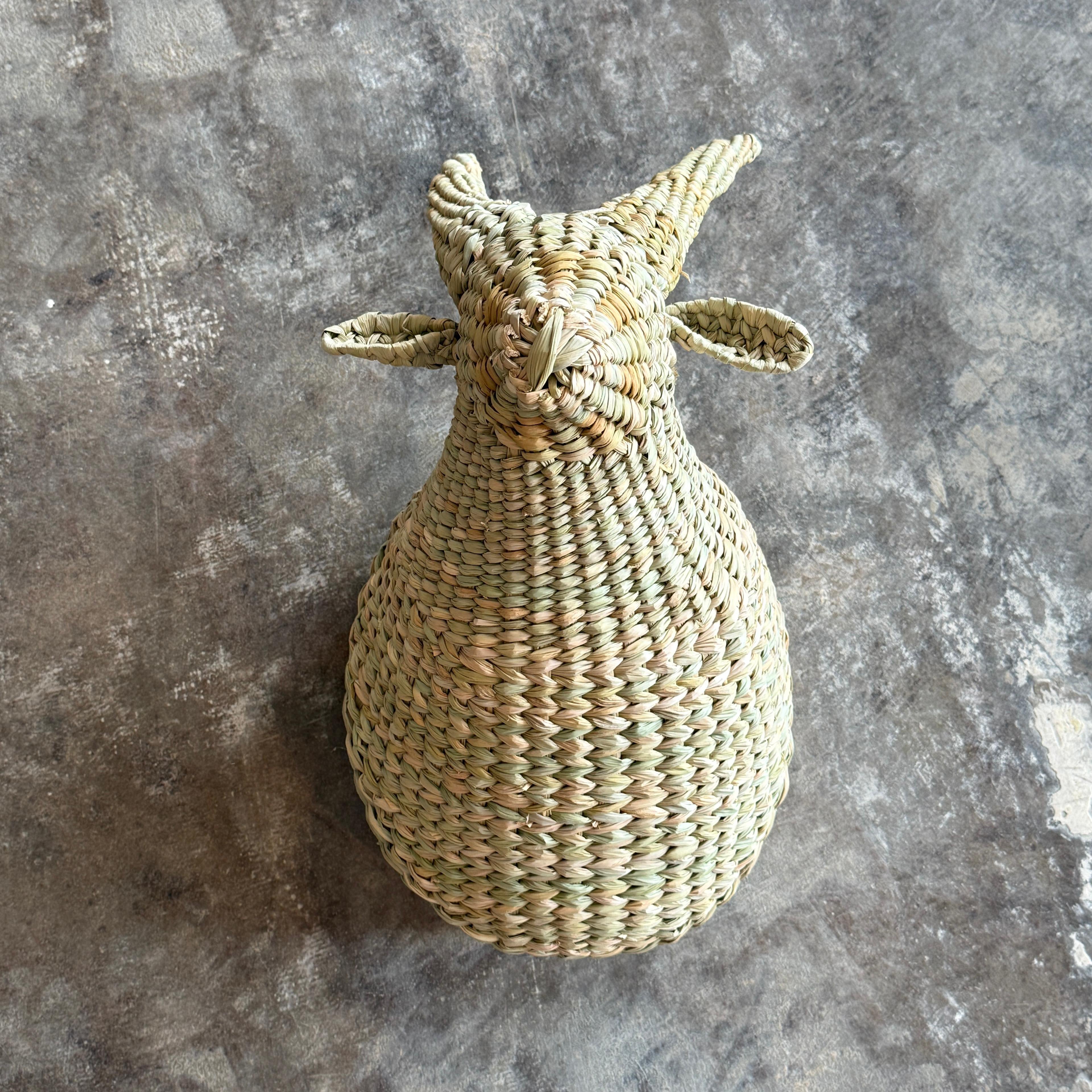 Chuspata Trophy Goat Head