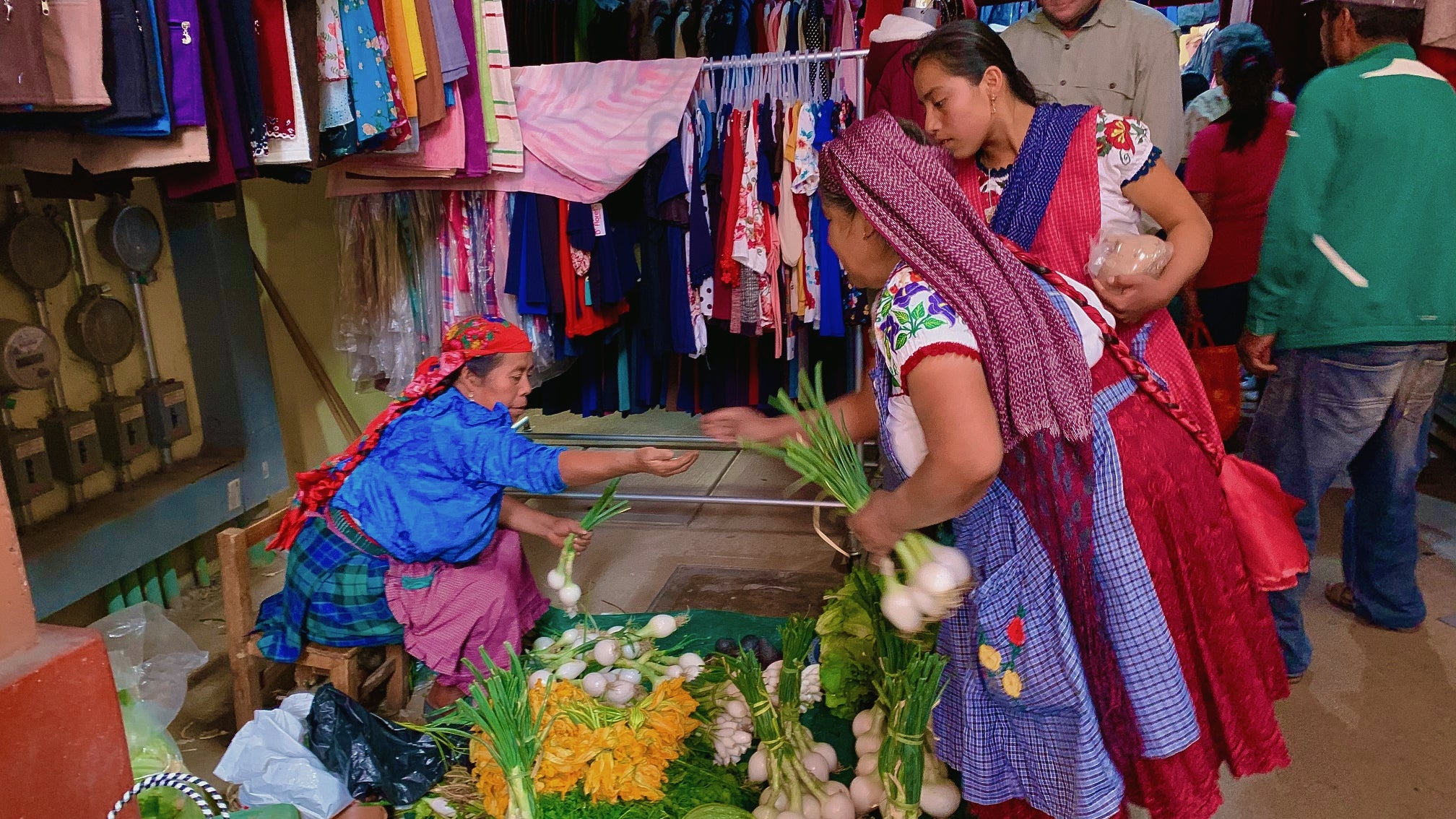 Indigenous Culture and Markets in Oaxaca, Mexico | Safari Sutra Holidays Indigenous Oaxacan artisan market with hand-woven textiles and alebrijes, Mexico cultural tour