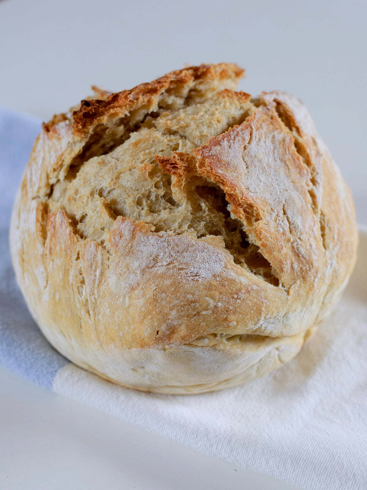 El Pato Clay Bread Oven