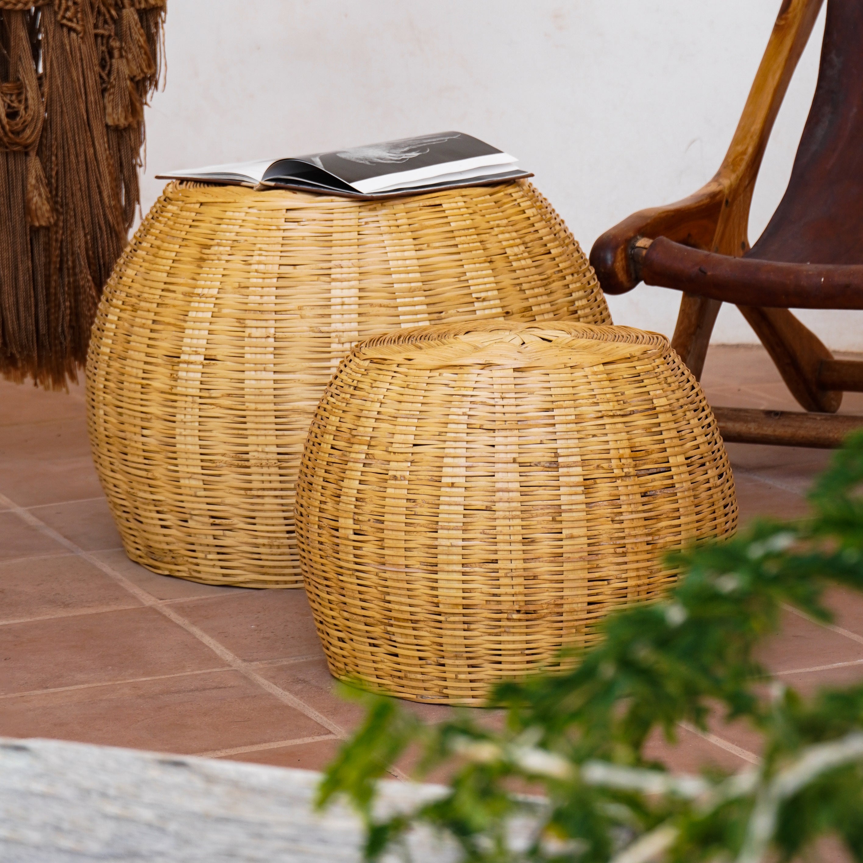 Biznaga Carrizo Stools