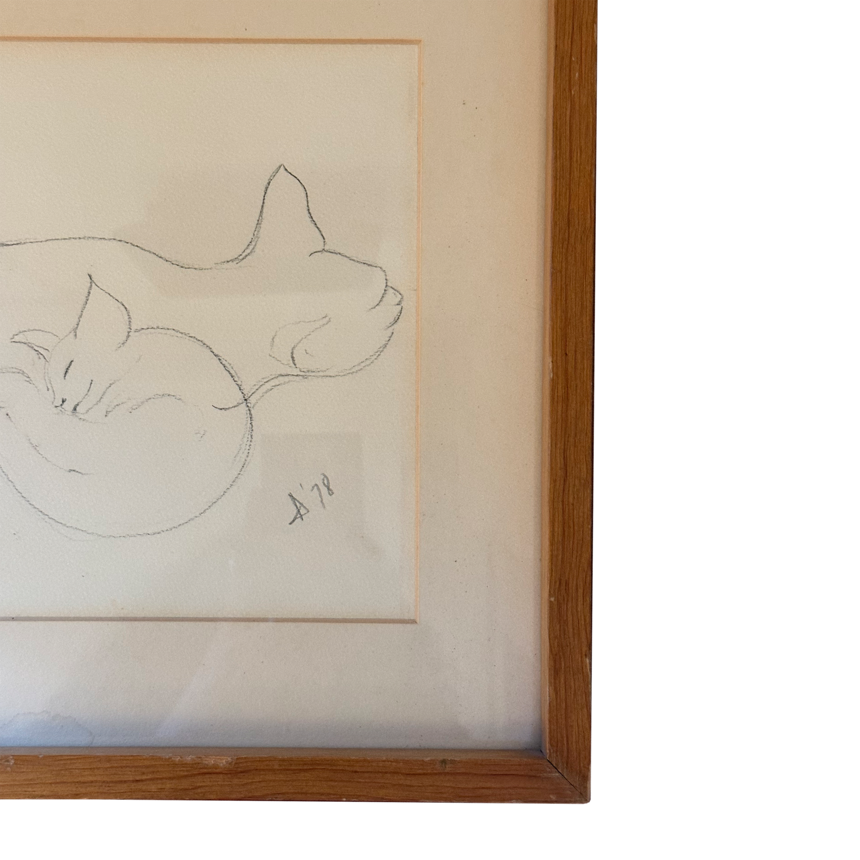 Cat Pencil Drawing Framed & Signed