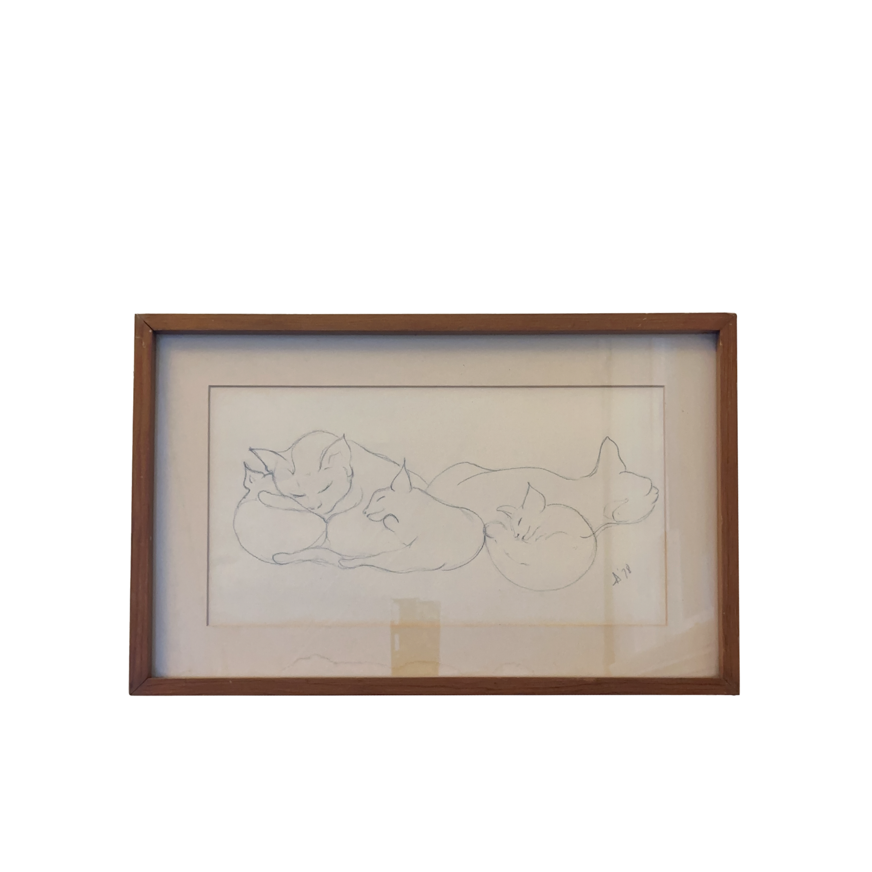 Cat Pencil Drawing Framed & Signed