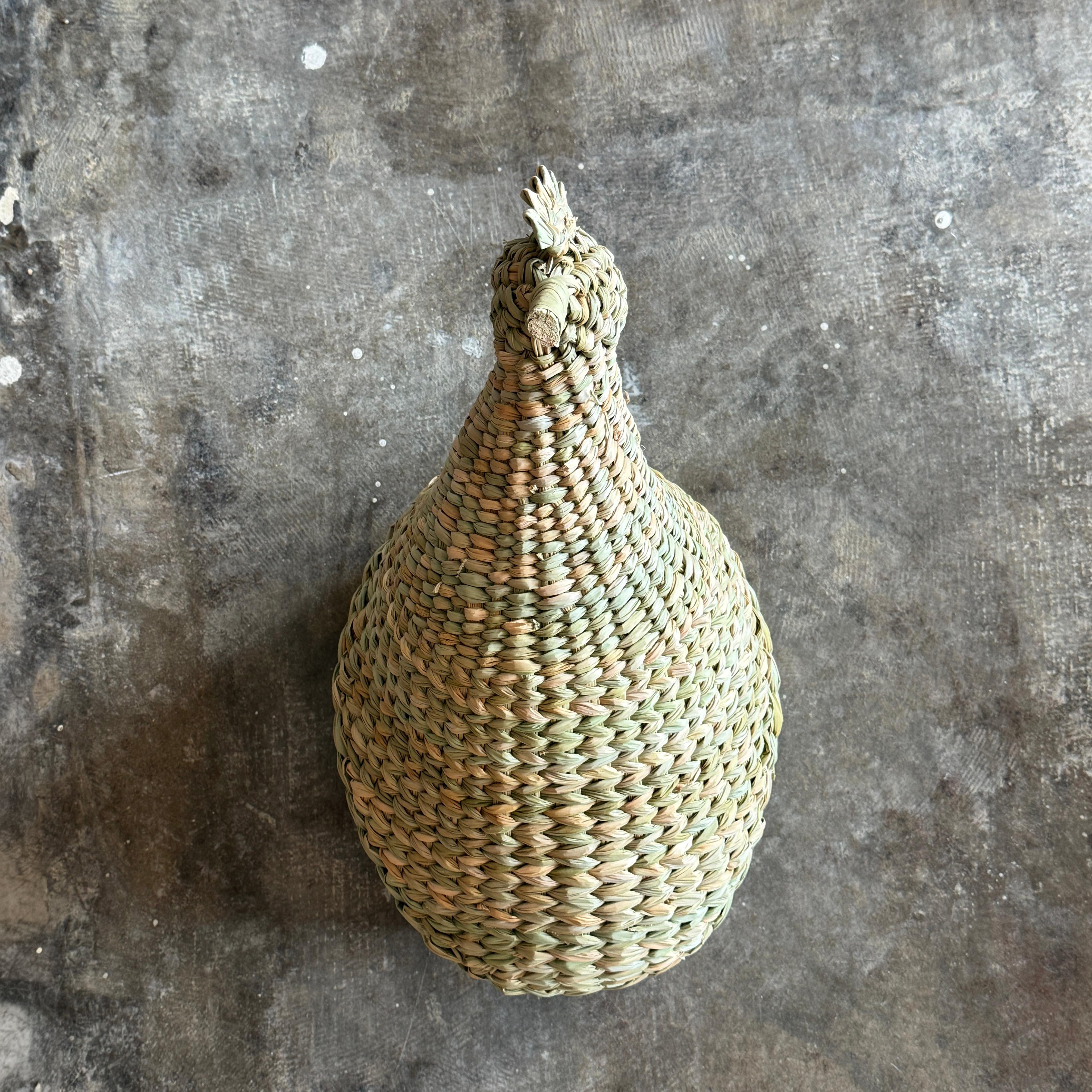 Chuspata Trophy Rooster