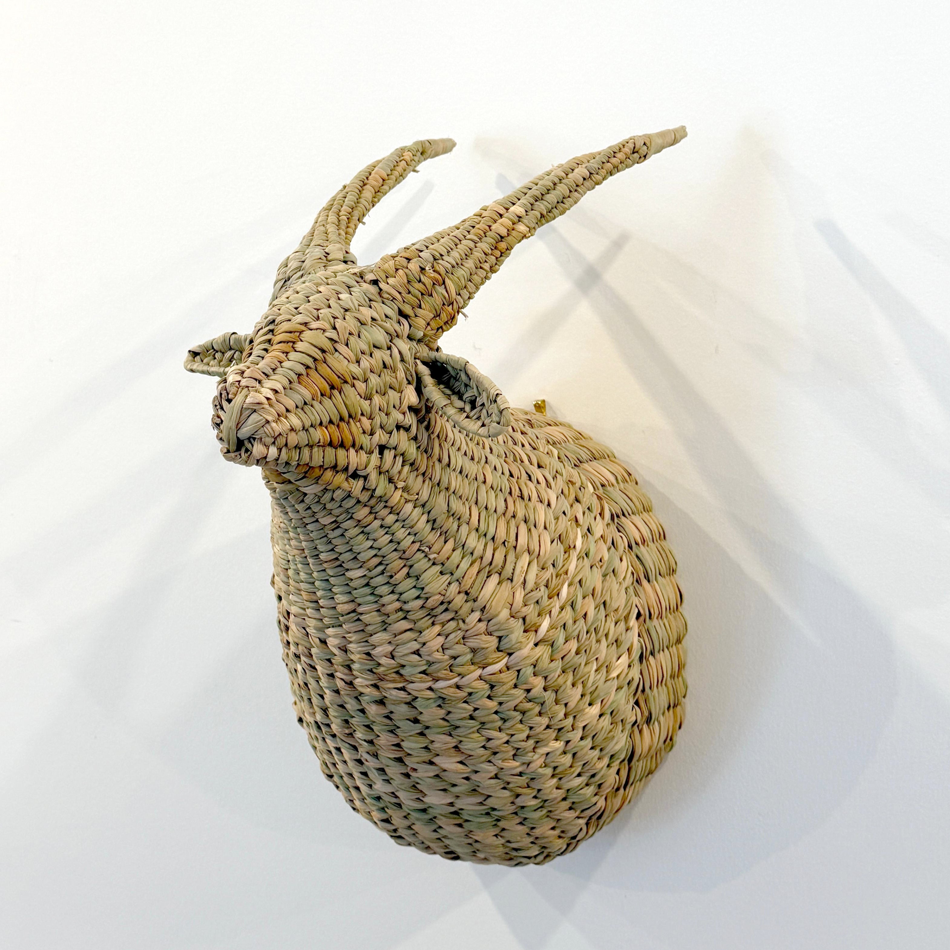 Chuspata Trophy Goat Head