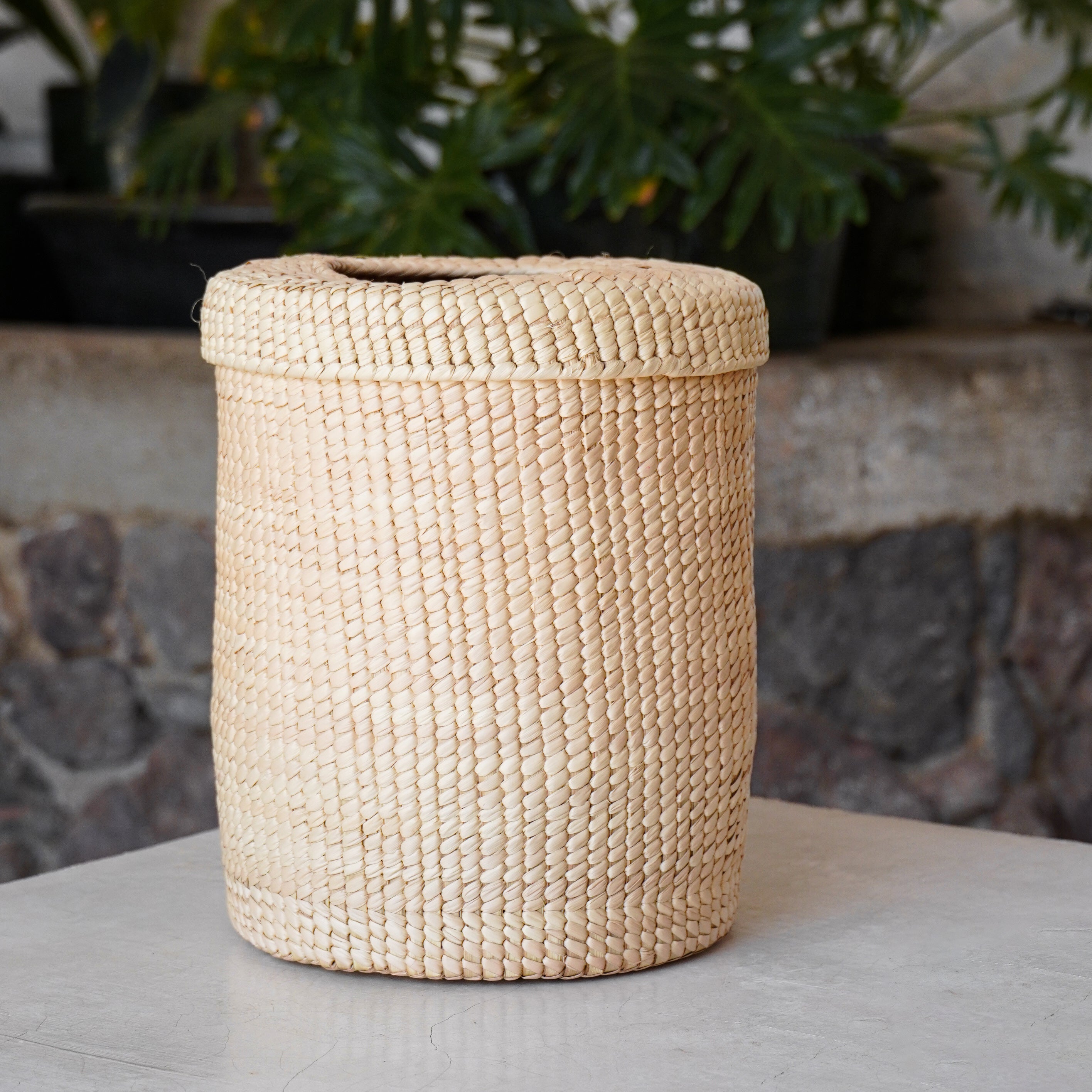 Redondo Palm Waste Basket