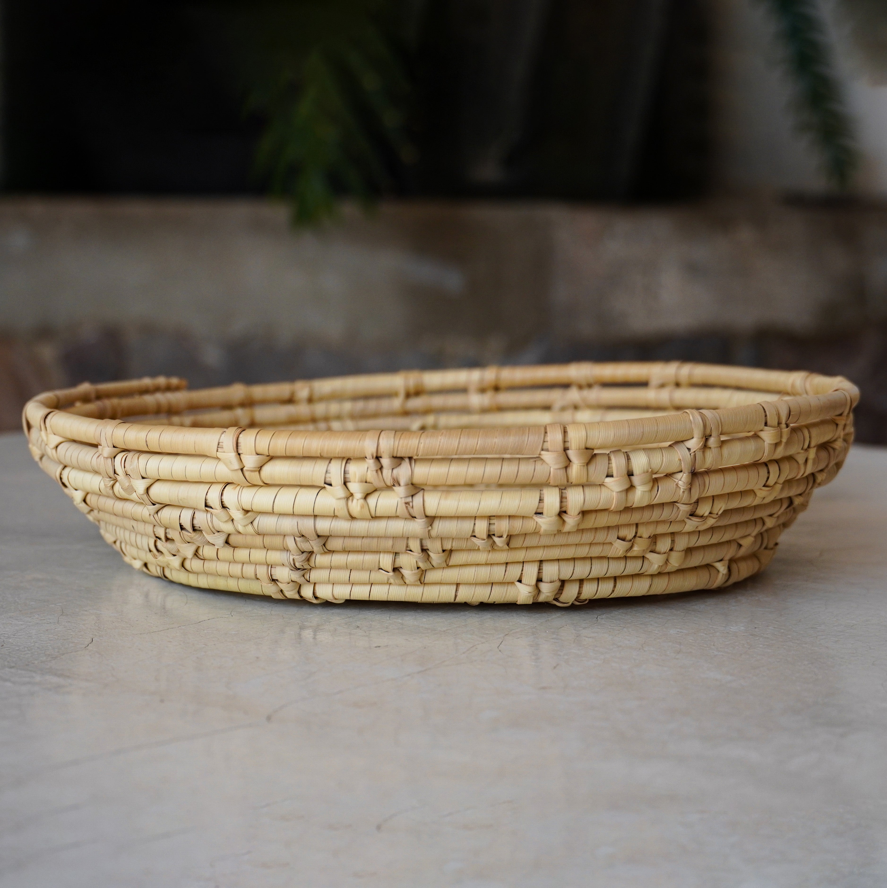 Oruga Palm Bowl