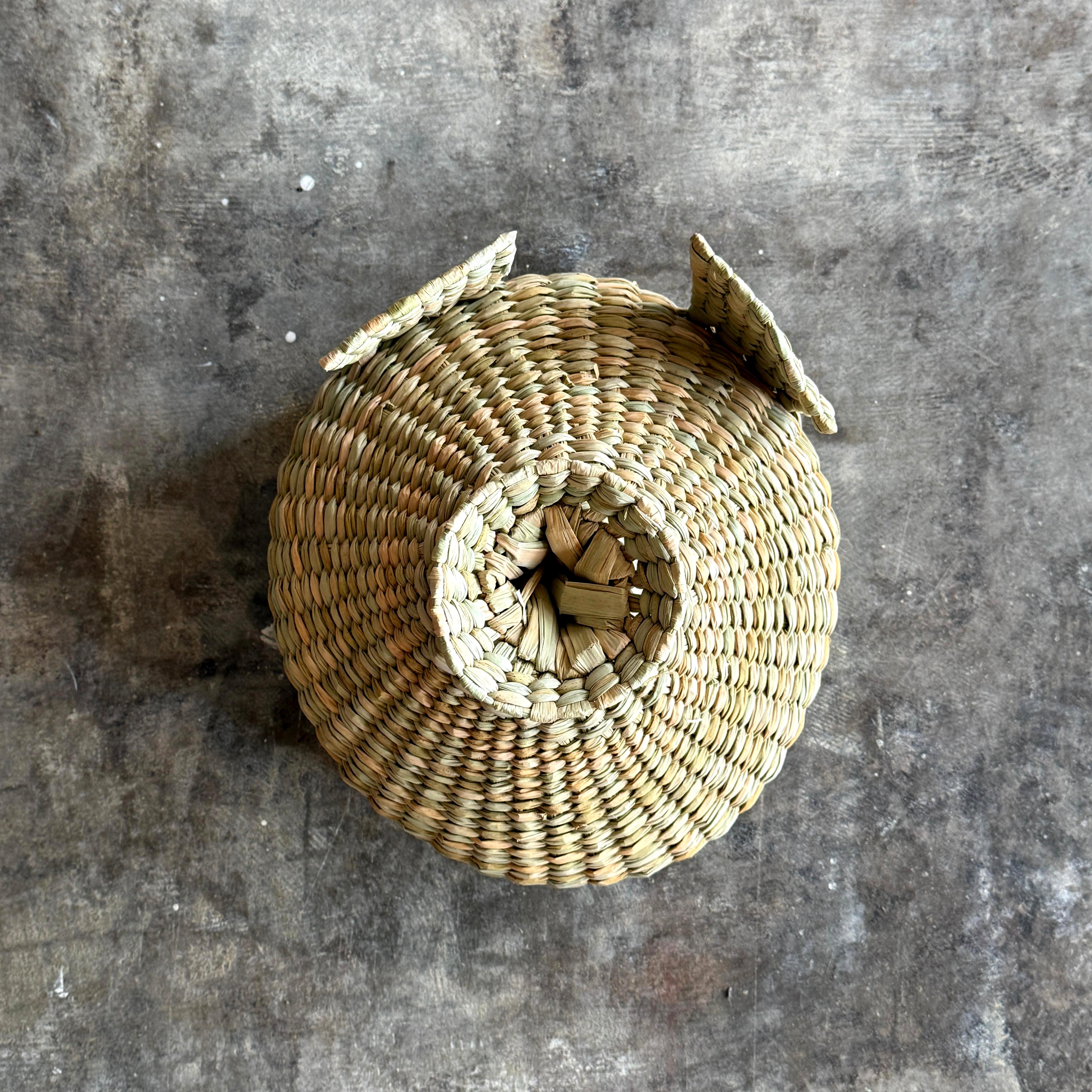 Chuspata Trophy Piggy
