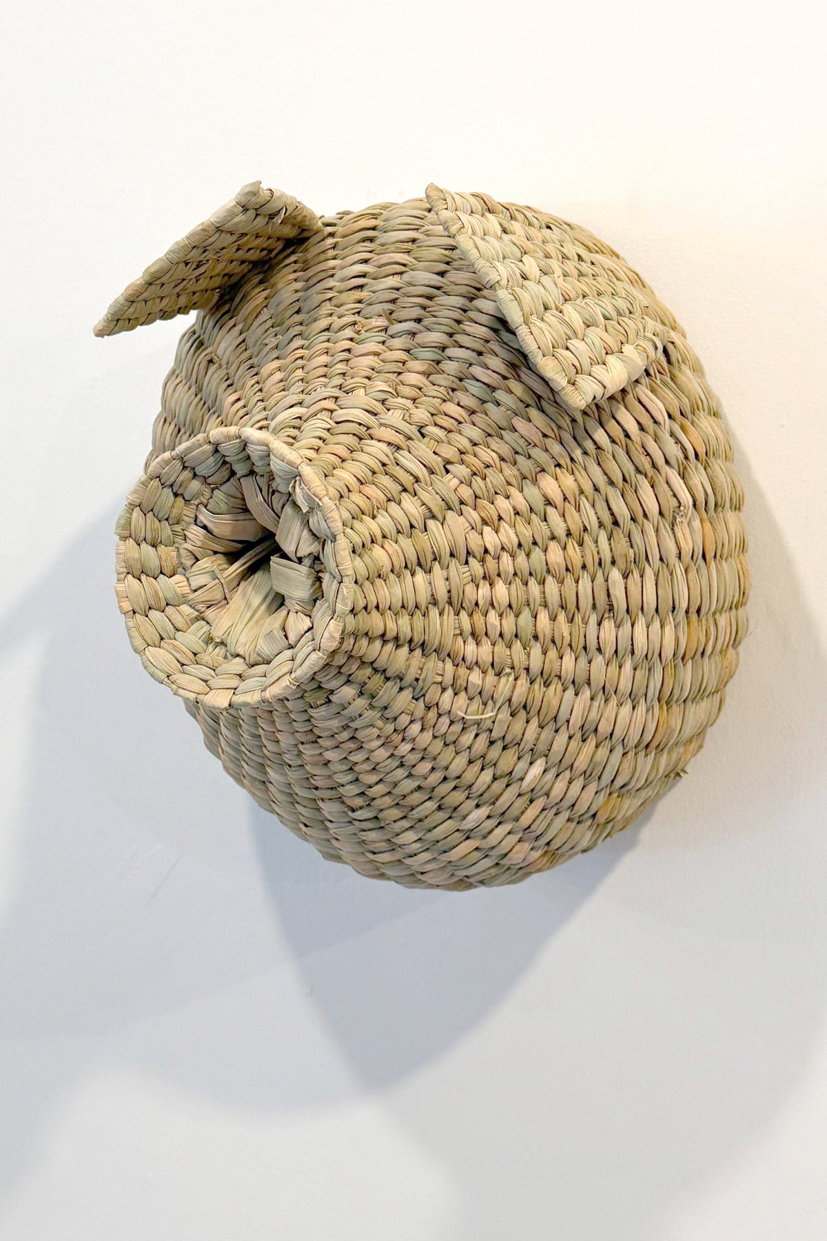 Embajada Craft Chuspata Trophy Piggy home decor sculpture with detailed craftsmanship and natural finish.