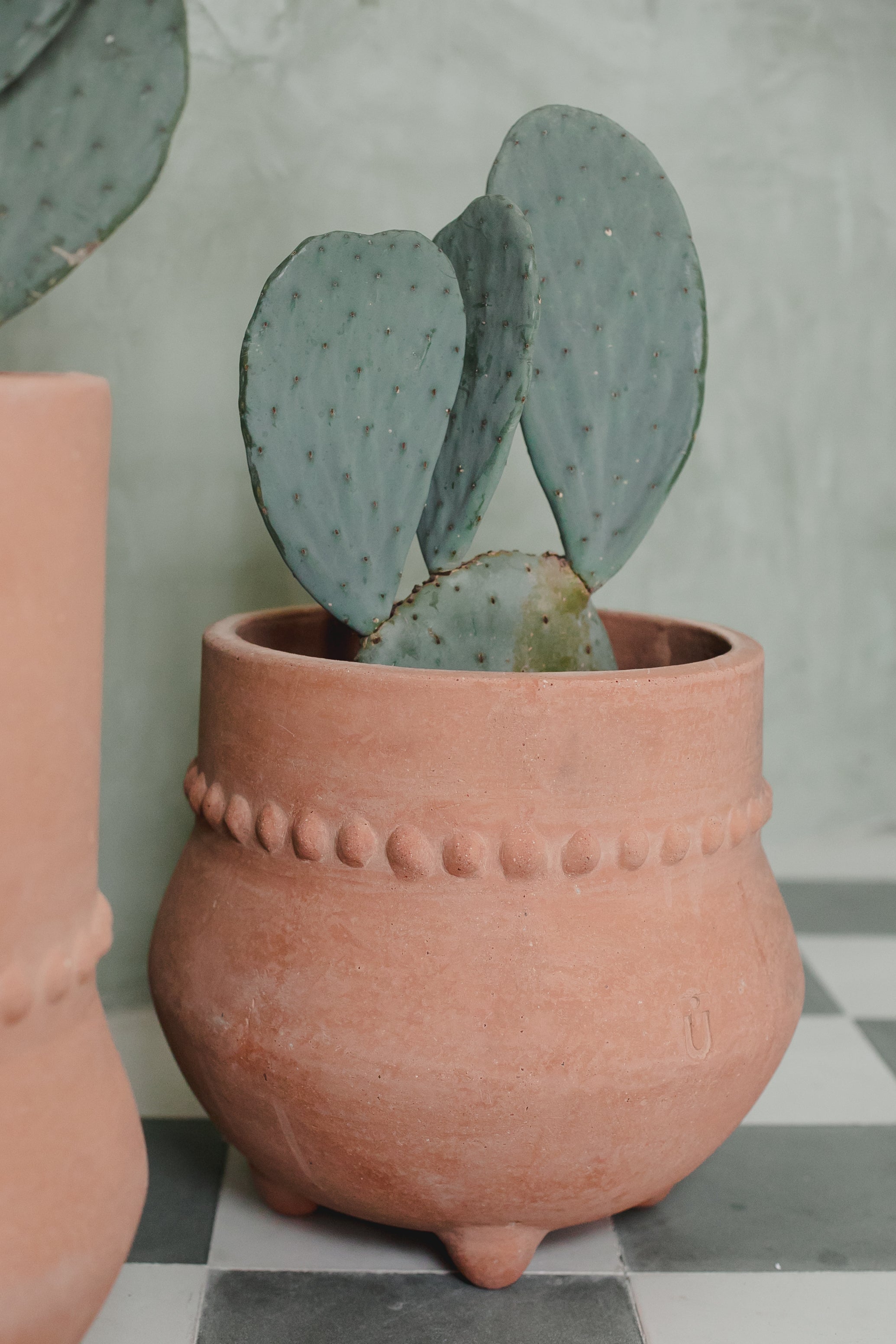 Tinaja Patas Textura Garden Pot *Pre-Order Only*